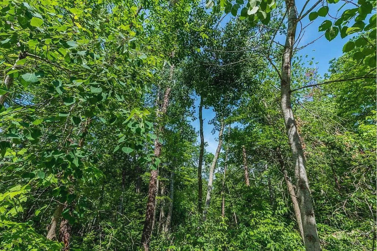 2 of 3 - Catskill Cir Breezy Point, MN 56472, USA