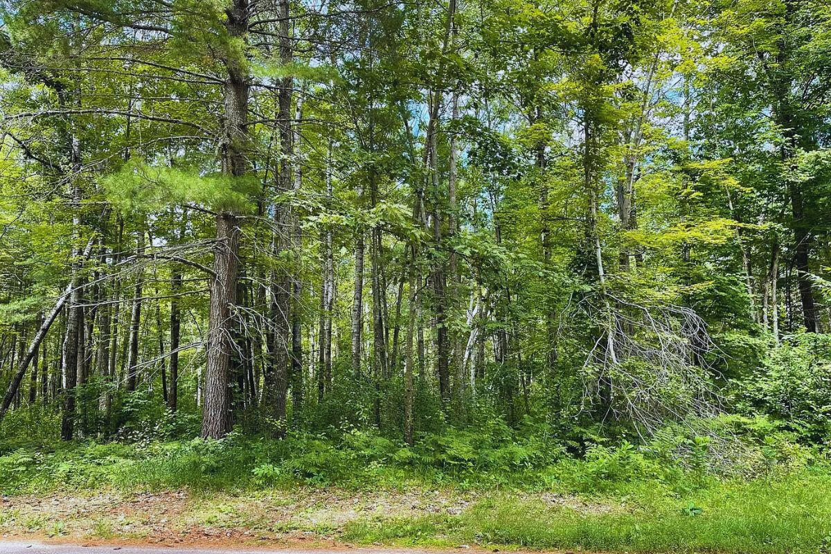 2 of 3 - Catskill Cir Breezy Point, MN 56472, USA