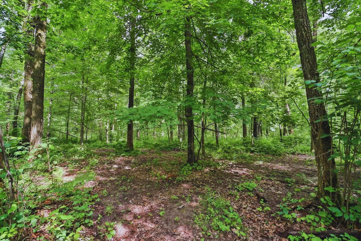 2 of 3 - Catskill Cir Breezy Point, MN 56472, USA